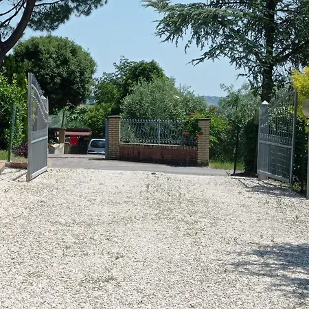 Valdiveltrica *
